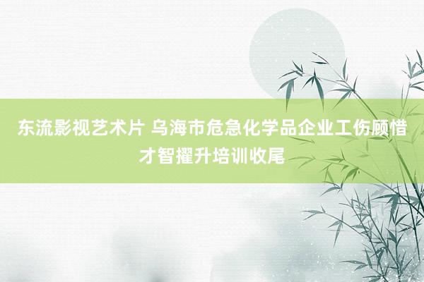 东流影视艺术片 乌海市危急化学品企业工伤顾惜才智擢升培训收尾