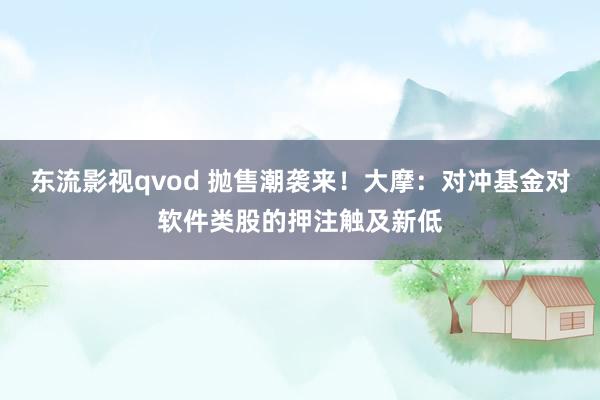 东流影视qvod 抛售潮袭来！大摩：对冲基金对软件类股的押注触及新低