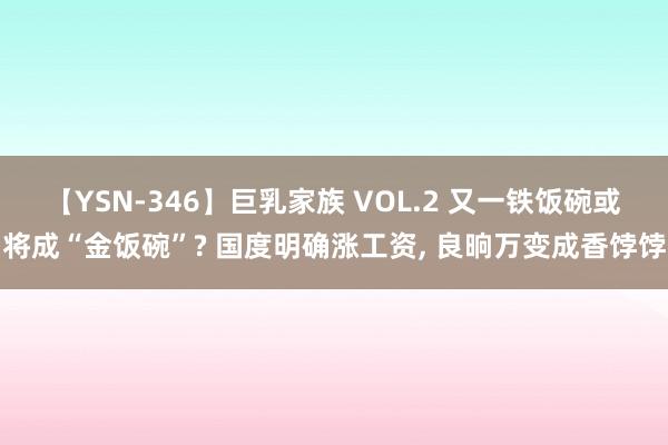 【YSN-346】巨乳家族 VOL.2 又一铁饭碗或将成“金饭碗”? 国度明确涨工资， 良晌万变成香饽饽