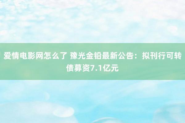 爱情电影网怎么了 豫光金铅最新公告：拟刊行可转债募资7.1亿元