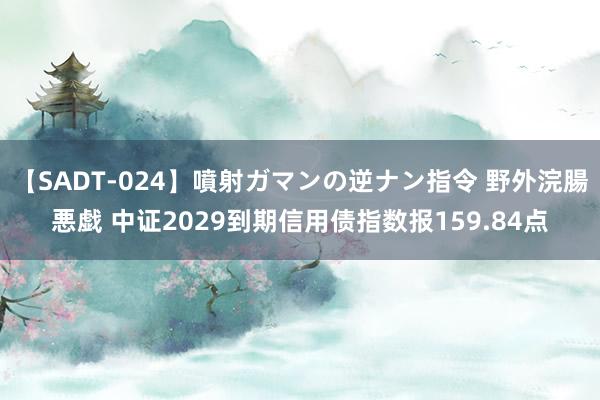 【SADT-024】噴射ガマンの逆ナン指令 野外浣腸悪戯 中证2029到期信用债指数报159.84点