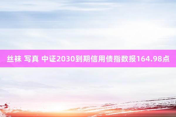 丝袜 写真 中证2030到期信用债指数报164.98点