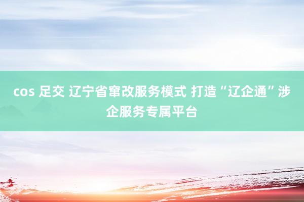 cos 足交 辽宁省窜改服务模式 打造“辽企通”涉企服务专属平台