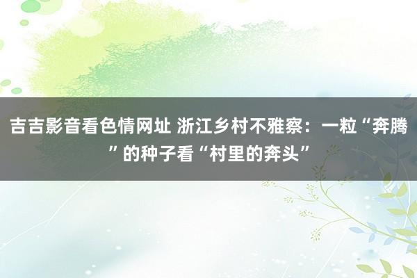 吉吉影音看色情网址 浙江乡村不雅察：一粒“奔腾”的种子看“村里的奔头”