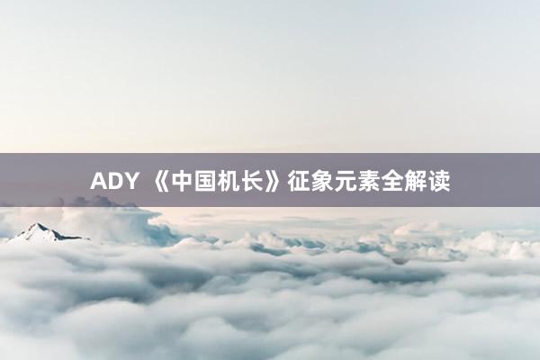 ADY 《中国机长》征象元素全解读