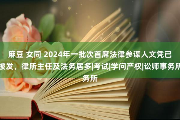 麻豆 女同 2024年一批次首席法律参谋人文凭已披发，律所主任及法务居多|考试|学问产权|讼师事务所